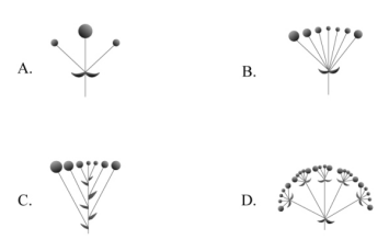 2020年國(guó)家公務(wù)員考試行測(cè)真題及答案(地市級(jí))